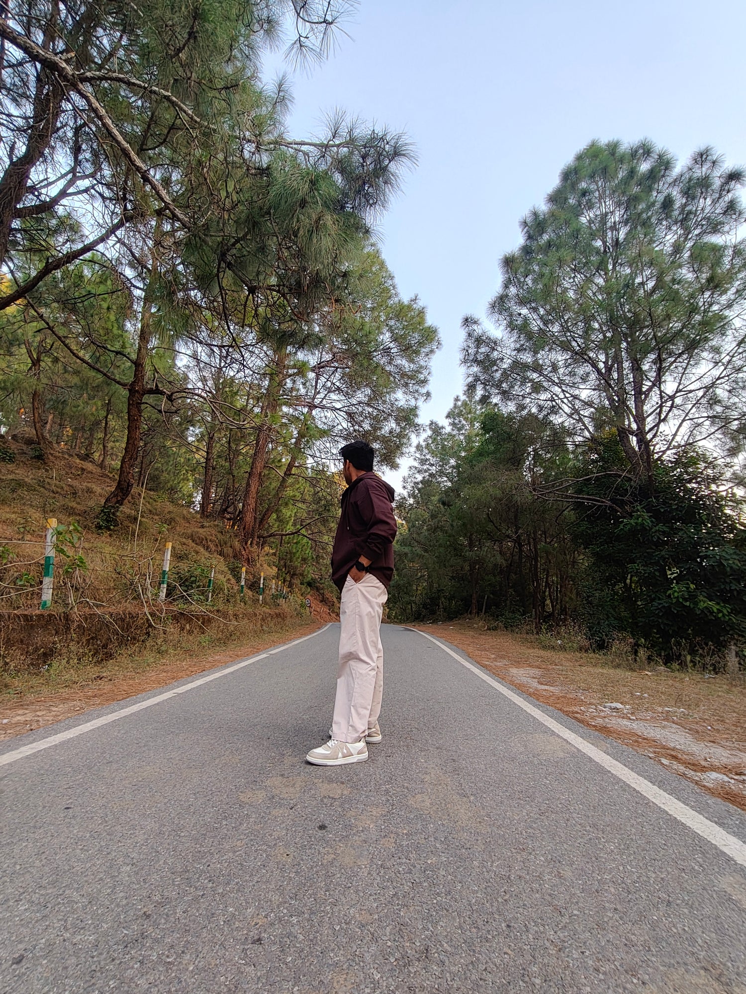 Person standing on a road surrounded by trees